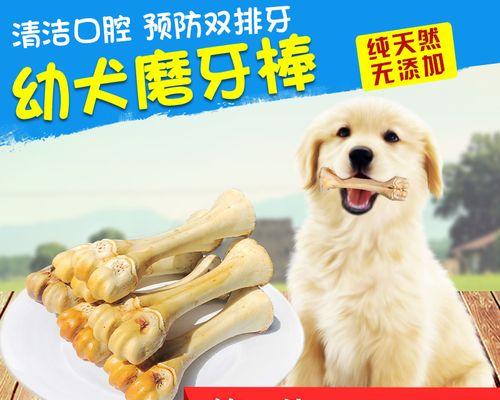 如何解决狗狗撕咬东西问题（从几个月开始，如何训练它，避免损坏家具）