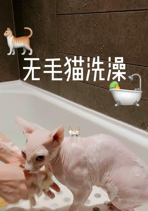 猫咪为什么喜欢看人洗澡？（探究猫咪洗澡的频率与方法）