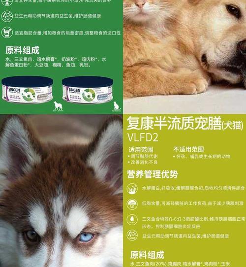 为什么猫咪处方罐头是宠物的最佳选择？（探究猫咪处方罐头的营养价值及特点）