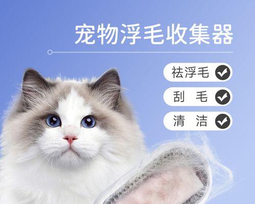 如何确定猫咪梳毛的最佳时机（以猫咪多大梳毛比较好为例，掌握正确的护理方法）
