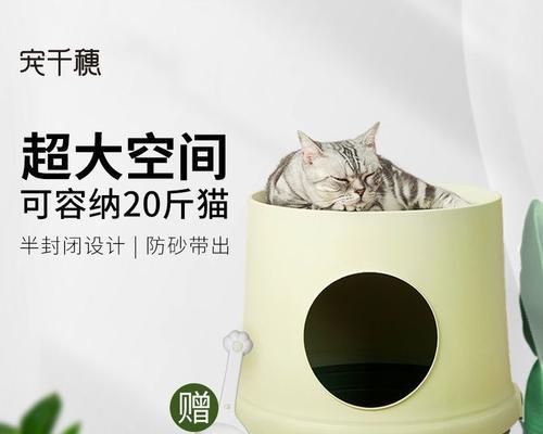 DIY双层猫砂盆，省钱又实用（以宠物为主，用心打造舒适空间）