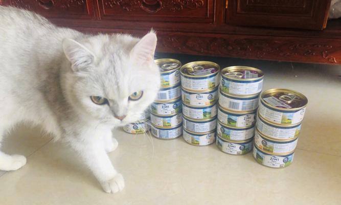 自制小猫罐头是否可行（以宠物为主的食品安全探讨）