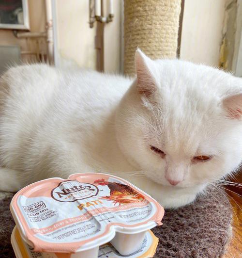 为什么小猫不喜欢吃罐头？（探究小猫的饮食习惯和罐头的成分，解答小猫能否食用罐头的问题）