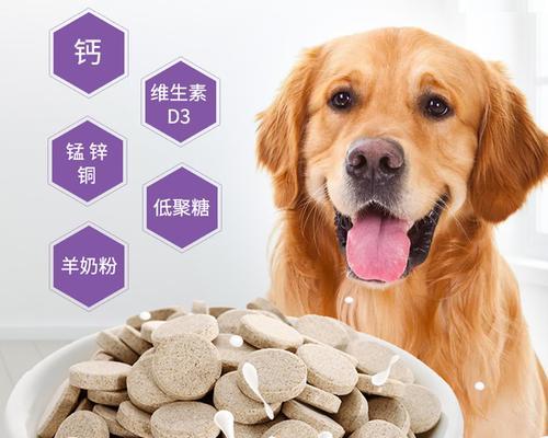 小型狗狗的钙片使用指南（为什么小型狗狗需要钙片？钙片有什么好处？）