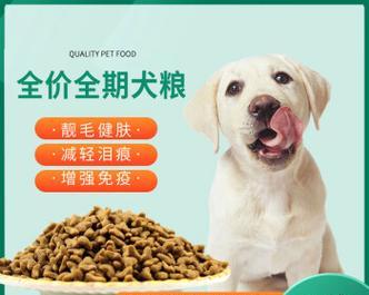 幼犬狗粮喂养全指南（以宠物为主，幼犬每日狗粮摄入量计算及注意事项）