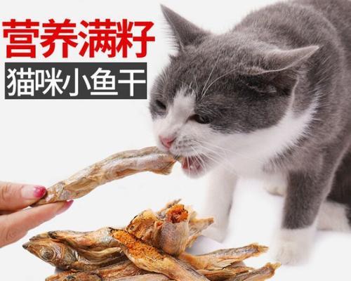 自制猫咪小鱼干，让爱宠更健康（用新鲜食材制作，滋养营养双丰收）