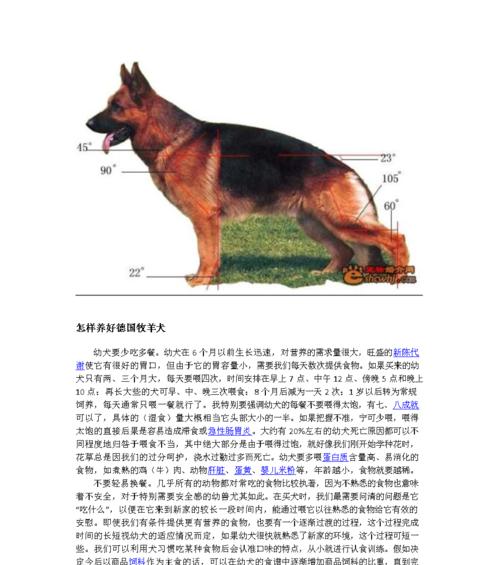 如何科学养殖粗毛兔？（以宠物为主，打造健康的生活伴侣）