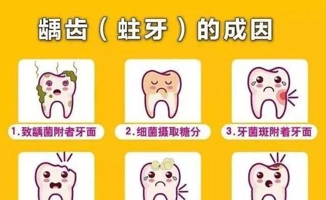 宠物狗口臭的问题（了解口臭的成因及预防方法）