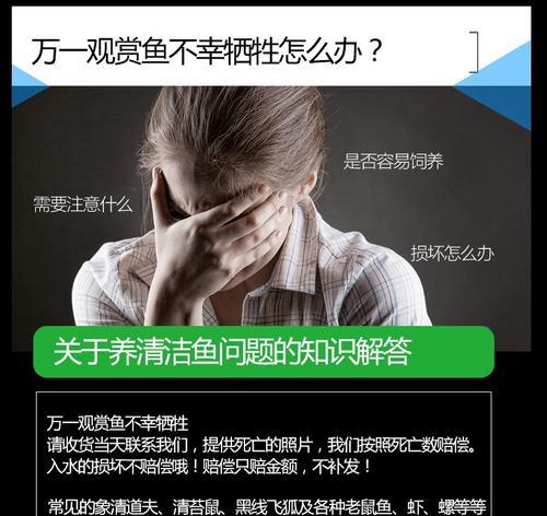养护技巧、营养搭配，让它们健康成长（养护技巧、营养搭配，让它们健康成长）