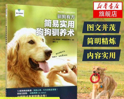 如何训练小狗狗？（宠物爱好者必看，让你的小狗成为乖乖狗的15个技巧）