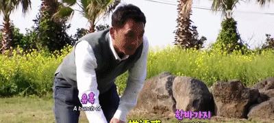 与宠物一起运动减肥——宠物为你的健康加油(狗狗,一起燃烧卡路里;让宠物陪你健身,生活更精彩)