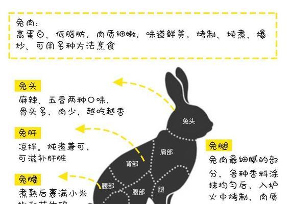 喜马拉雅兔的饲养全指南（掌握这些方法，让你的喜马拉雅兔健康成长）