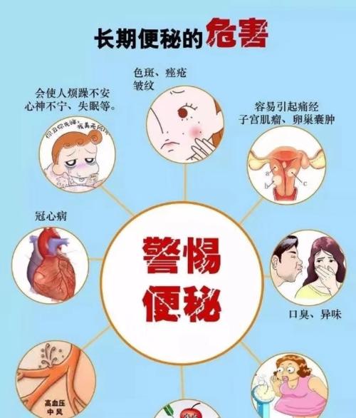约克夏健康的6个警报！别忽略你的宠物健康！（细节决定成败，宠物生活中这些要注意！）