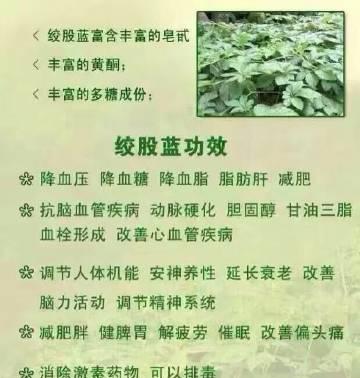 凯利蓝梗犬补钙指南（正确补钙的关键，让您的宠物更健康）