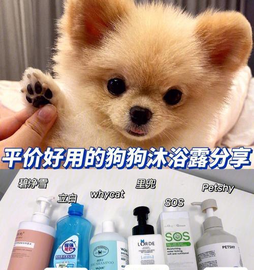 如何正确使用狗狗沐浴露（以宠物为主，让爱宠健康又美丽）
