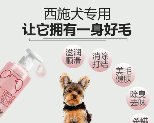如何为银狐犬洗澡？（选择合适的沐浴露是关键）