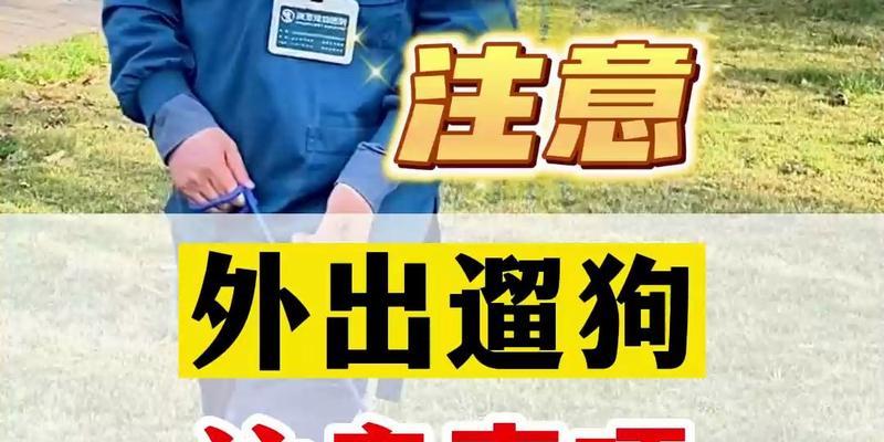 新手养狗必知的遛狗要点（宠物狗遛步的正确姿势与注意事项）