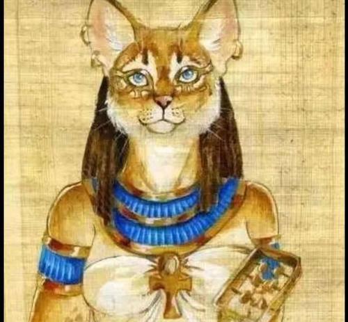 如何给宠物埃及猫洗澡（埃及猫洗澡步骤详解，让你的爱宠干净健康）