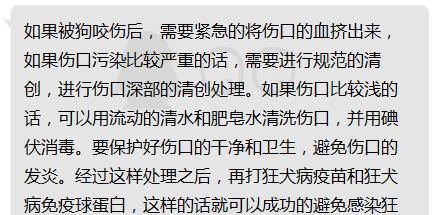 狗打了血清为什么会缓解病症？（了解狗打血清的作用和原理，为宠物健康保驾护航）