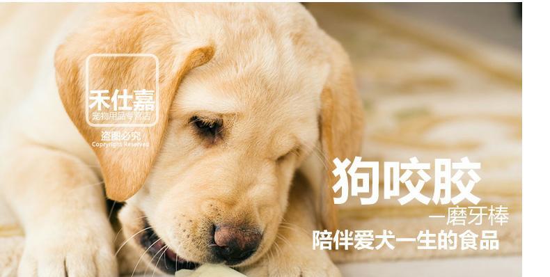 挑选狗咬胶，让宠物健康快乐（三个方法帮你选对狗咬胶）