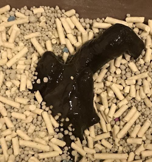 宠物猫拉肚子常见原因及治疗方法（小猫为何一直拉肚子？如何保护它的健康？）