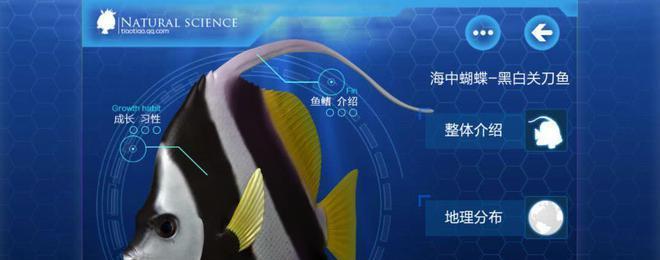 白鳍黑吊的饲养方法（成为一名合格的白鳍黑吊饲养者）