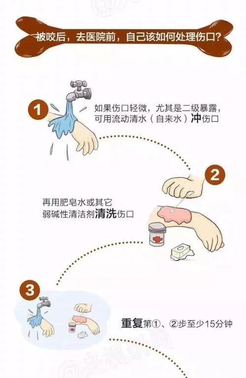 宠物狗的难产怎么办？（认识狗狗的难产、预防和应对方法）
