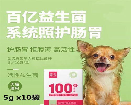 如何治疗宠物猫咪拉肚子呕吐？（探讨药物和饮食两种治疗方式）