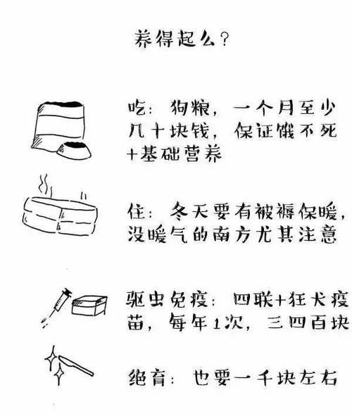 消除狗狗泪痕的有效方法（如何使你的宠物远离泪痕的困扰）