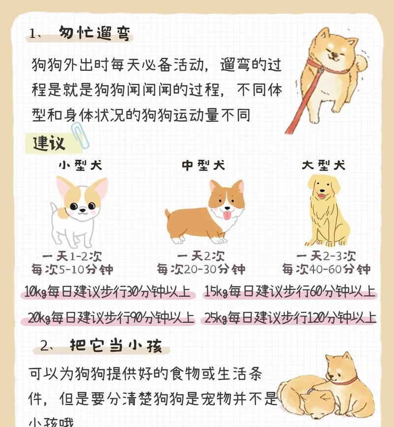 比熊剃胎毛的最佳时间（以宠物为主，关注比熊的健康成长）