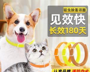 除蚤项圈是否对宠物有效？（检视宠物的健康状况与除蚤项圈的效果）