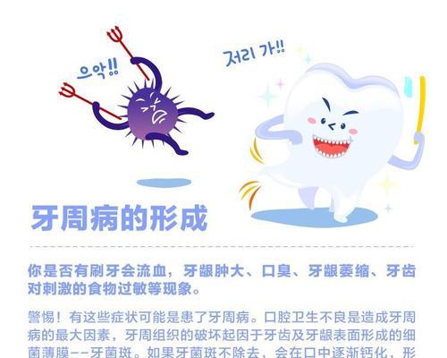如何正确护理以凯利蓝的牙齿（以宠物为主，牙齿护理不容忽视）