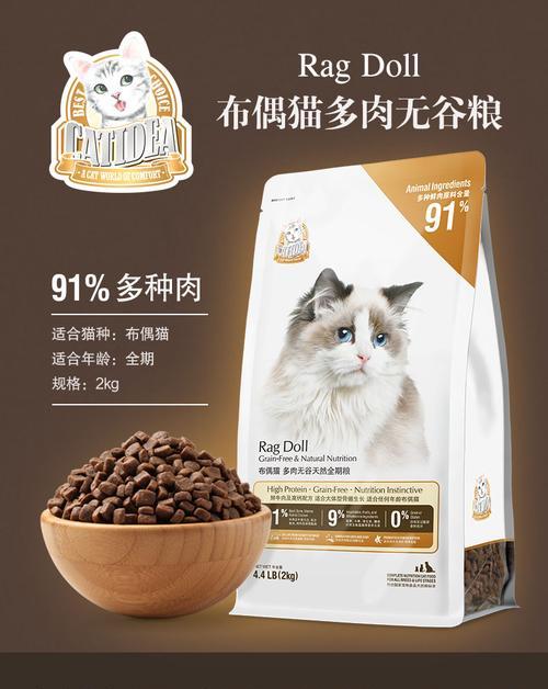 折耳猫的饮食选择——如何选择适合折耳猫的猫粮（以宠物为主，让折耳猫健康成长）