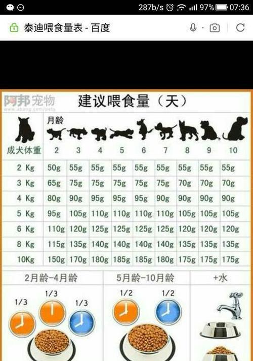 迷你杜宾犬的健康饮食指南（宠物爱好者必知的喂养技巧和营养知识）
