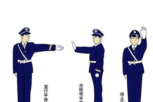 泰迪训练：如何让你的宠物学会握手？