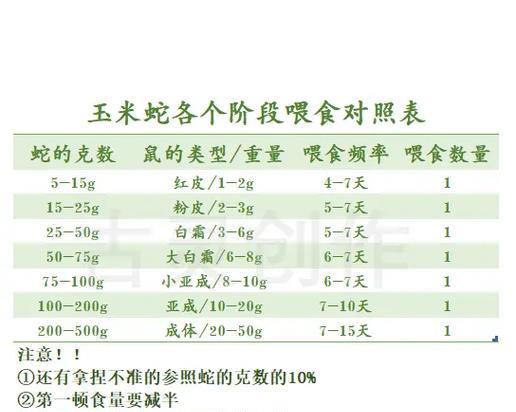 以刚毛猎狐梗饮食的12规则（为宠物狗打造健康饮食，规范养犬行为）