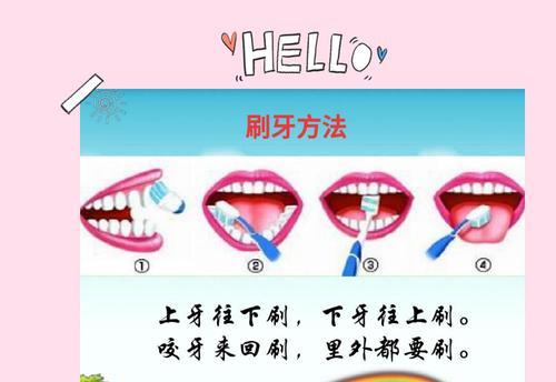苏牧牙齿健康护理方法（让宠物苏牧拥有健康美丽的牙齿）