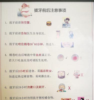 约克夏换牙注意事项（如何帮助宠物顺利度过换牙期）
