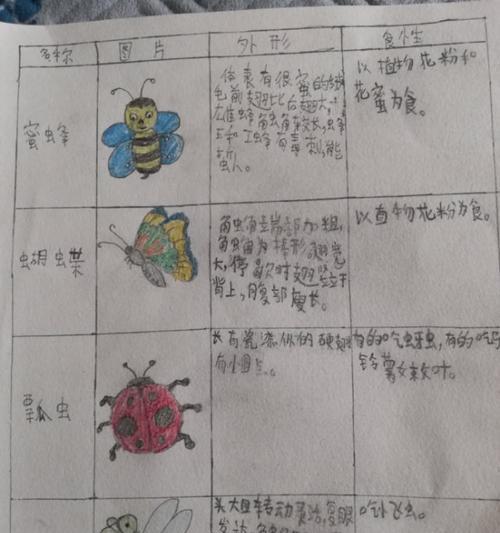黄头庙龟的饲养方法（了解饲养黄头庙龟的技巧，让它健康成长）
