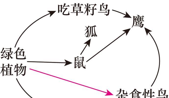 斯维氏鹧鸪的饲养方法（打造宠物级的斯维氏鹧鸪饲养技巧）