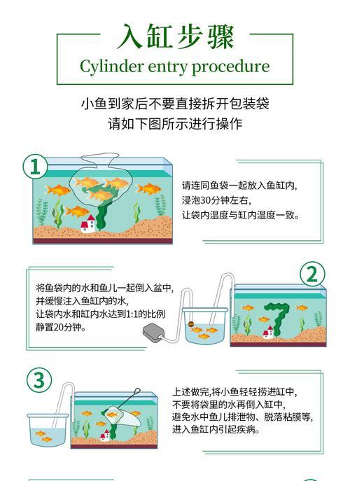 北部黑瘤地图龟的饲养方法（打造健康快乐的宠物龟，）