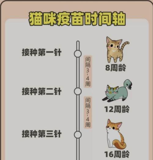如何正确饲养阿拉莫泥龟（宠物爱好者必看！掌握这些技巧，让阿拉莫泥龟健康成长）