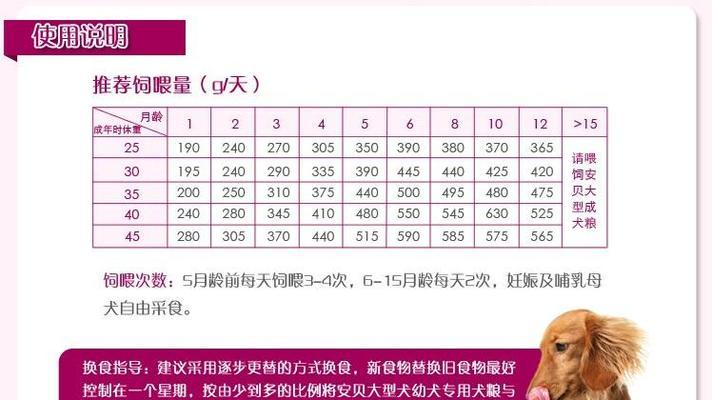 爱尔兰水猎犬的饲养方法（了解适应性——让您的水猎犬健康成长）