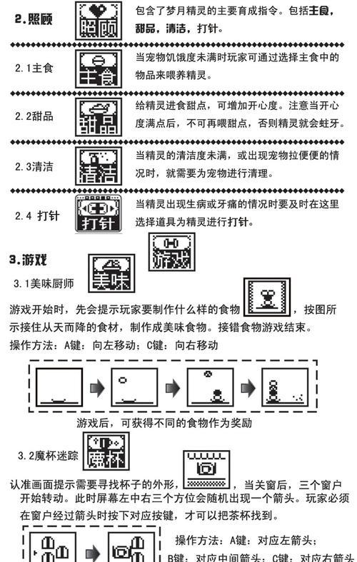 如何正确饲养银狐兔？（掌握这些方法，让你的宠物健康成长）