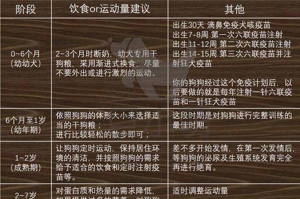 贵宾犬的饲养方法（了解贵宾犬的特点，让你成为贴心的主人）