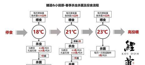 白颏蓬背鹟的饲养方法（打造健康快乐的宠物生活）