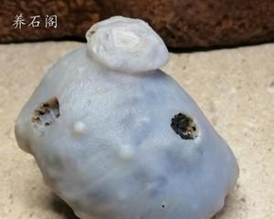 如何饲养以玛瑙眼为宠物（一步步教你打造专属的水族箱世界）