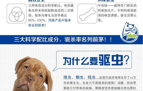 幼狗定期驱虫是养宠必备（为保护幼犬健康，从定期驱虫开始）