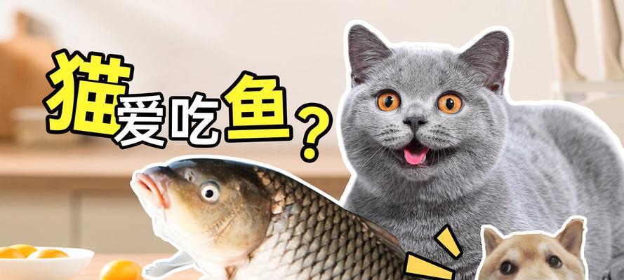 2个月的小狗能否以鱼为主食？