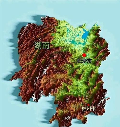如何饲养玳瑁西部赫曼陆龟（掌握关键技巧，让宠物龟健康成长）